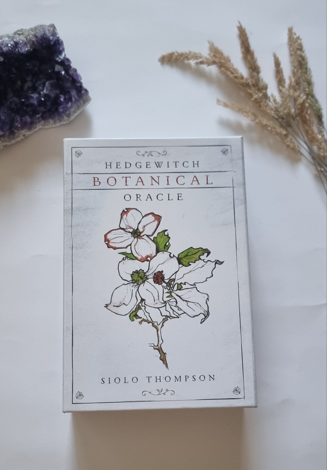 Hedgewitch Botanical Oracle, Ophalen of Verzenden, Nieuw, Tarot of Kaarten leggen, Overige typen