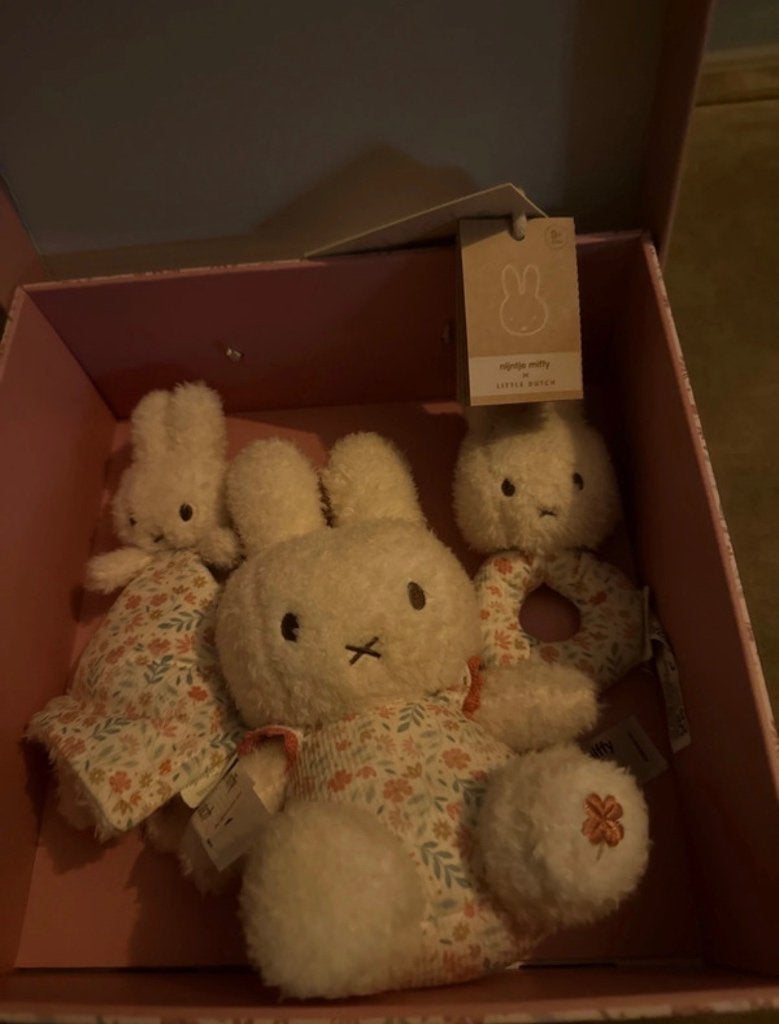 Little Dutch x Nijntje Miffy, Ophalen, Nieuw, Overige typen, Met geluid