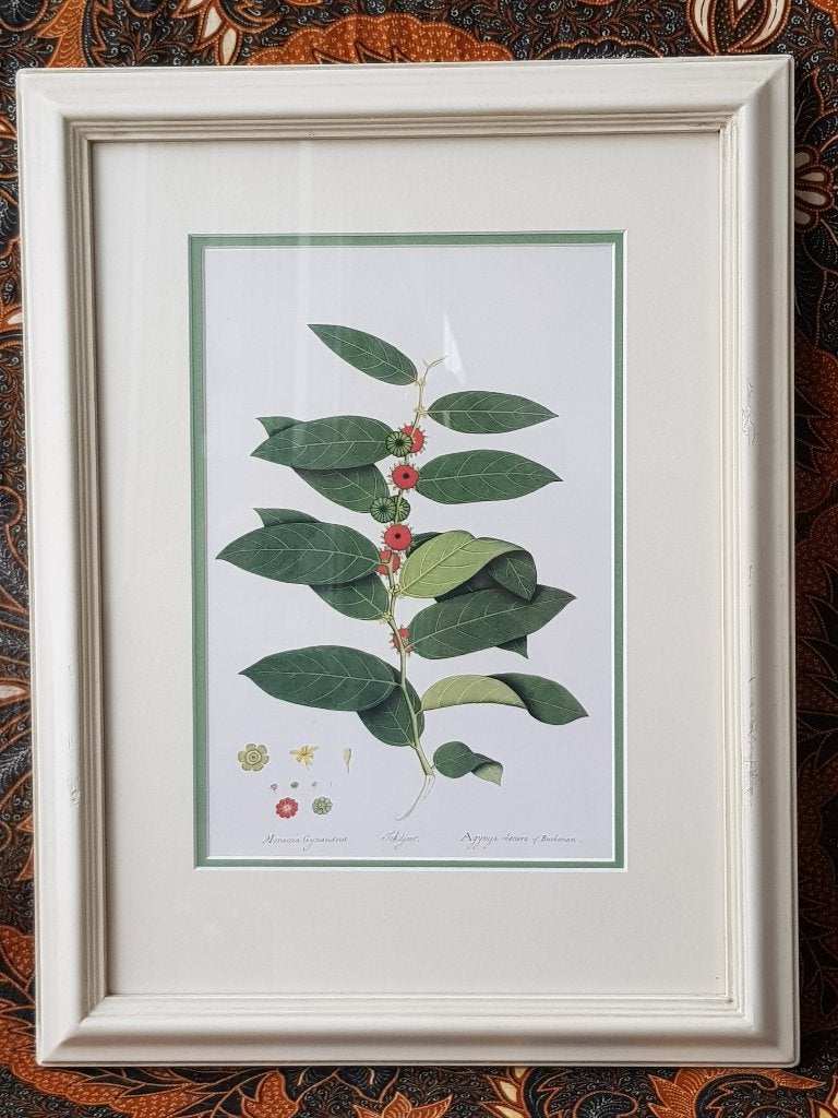 Mooie antieke ingelijste litho uit Engeland van Agyneja.