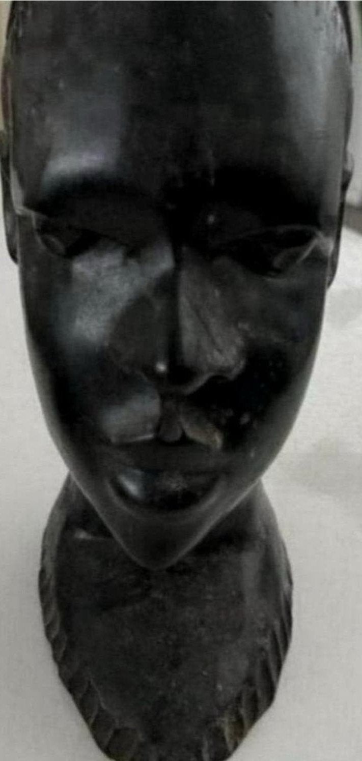 Afrikaanse Stenen Hoofd van een Vrouw uit Ghana, Handgemaakt, Ophalen of Verzenden, Beeld, Zwart