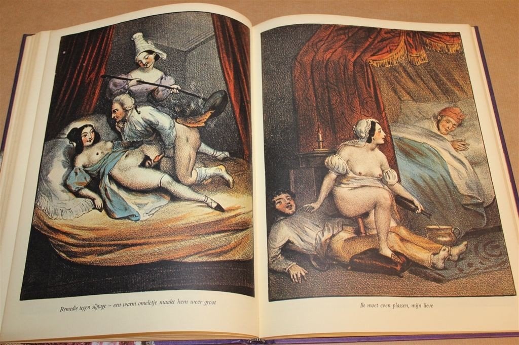 Venus Lusthof — Spiegel der Vrijerij en Minnekunst, Ophalen of Verzenden, Gelezen