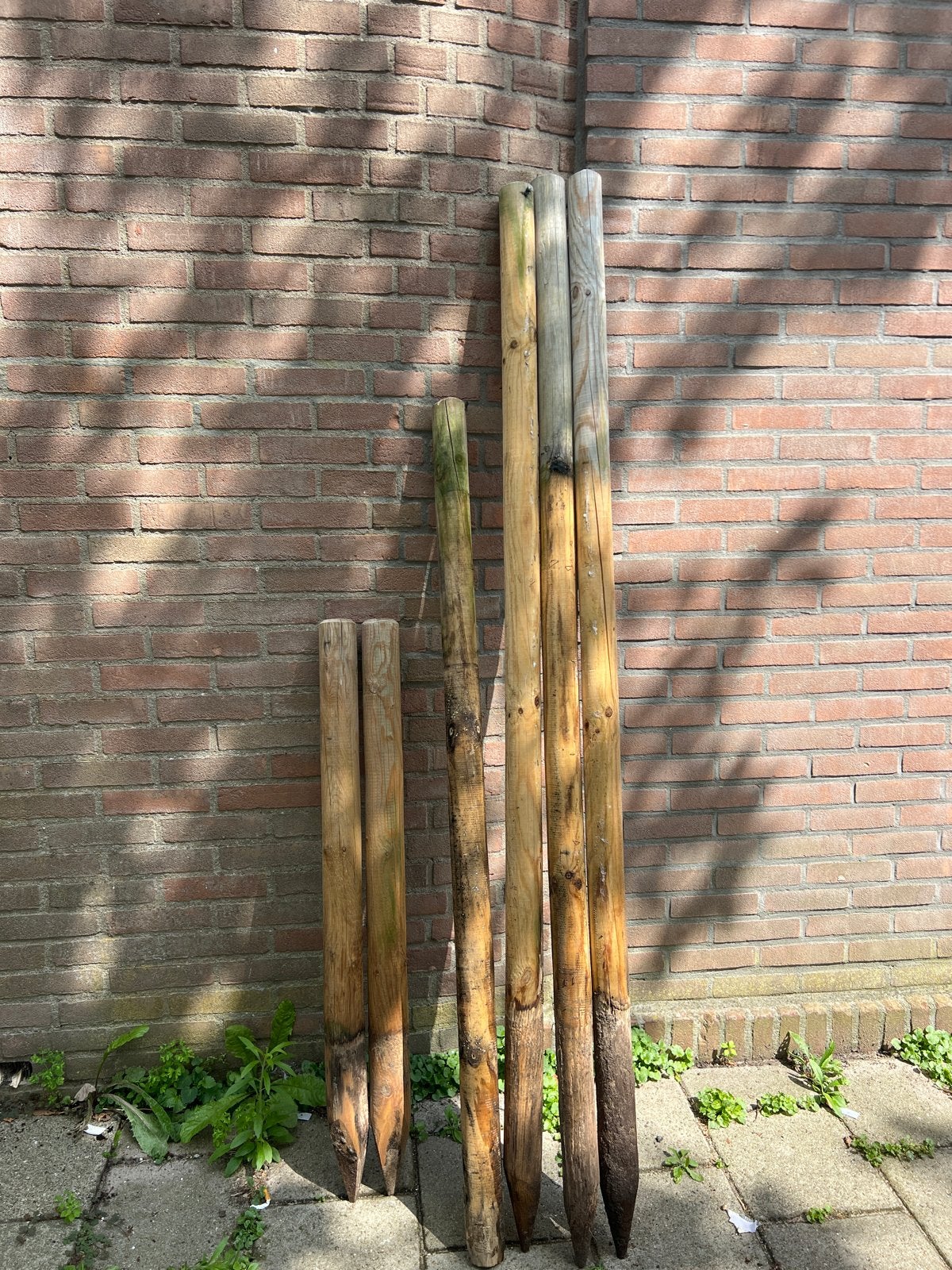Tuinpalen - Gratis af te halen, Ophalen, Gebruikt, 250 cm of meer, Palen
