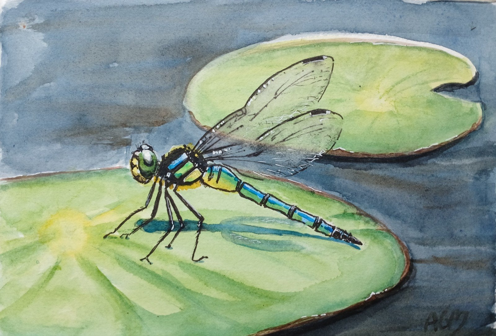 Aquarel libelle, Ophalen of Verzenden