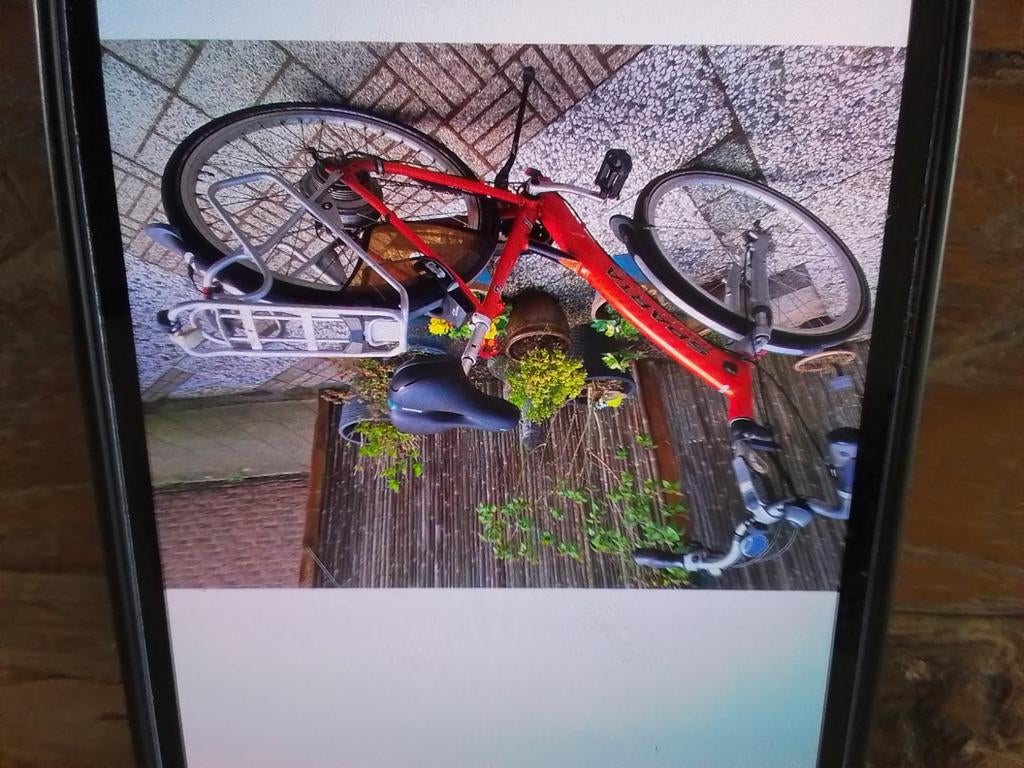 Te koop sparta, Ophalen, Sparta, Gebruikt, Minder dan 47 cm