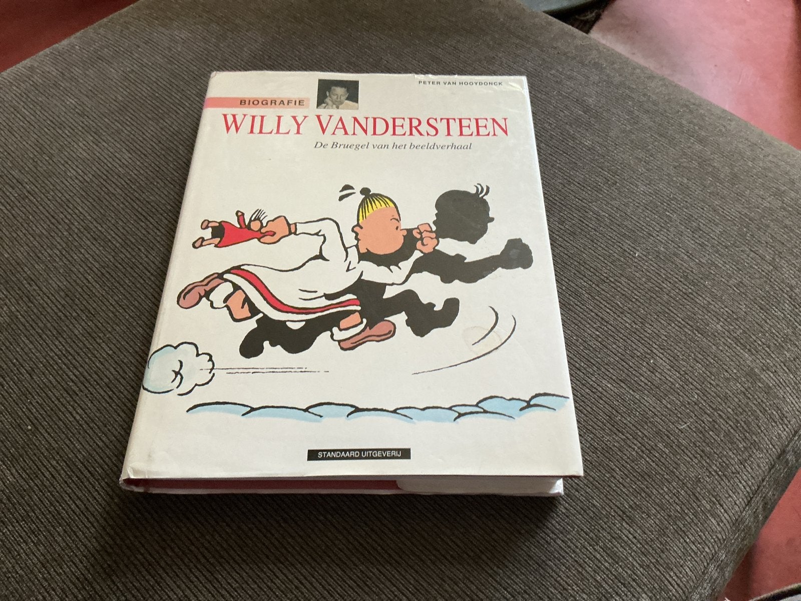 Biografie Willy Vandersteen: De Bruegel van het beeldverhaal, Ophalen of Verzenden, Zo goed als nieuw, Overige