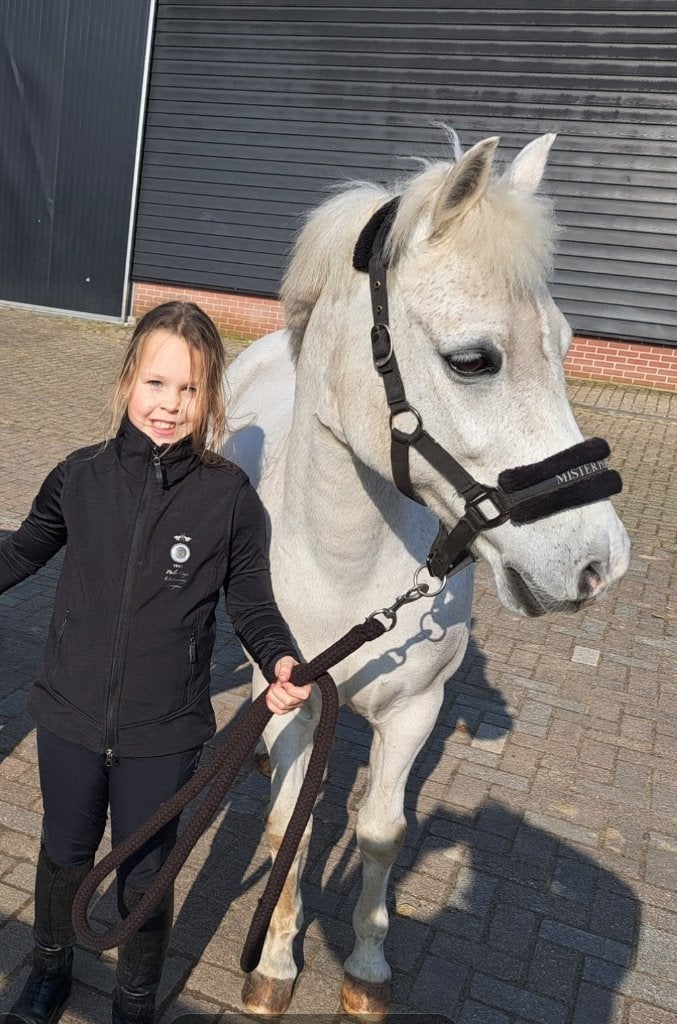 Brave allround  kinderpony, Dieren en Toebehoren, Pony's, Met stamboom, Ruin, 11 jaar of ouder, Recreatiepony