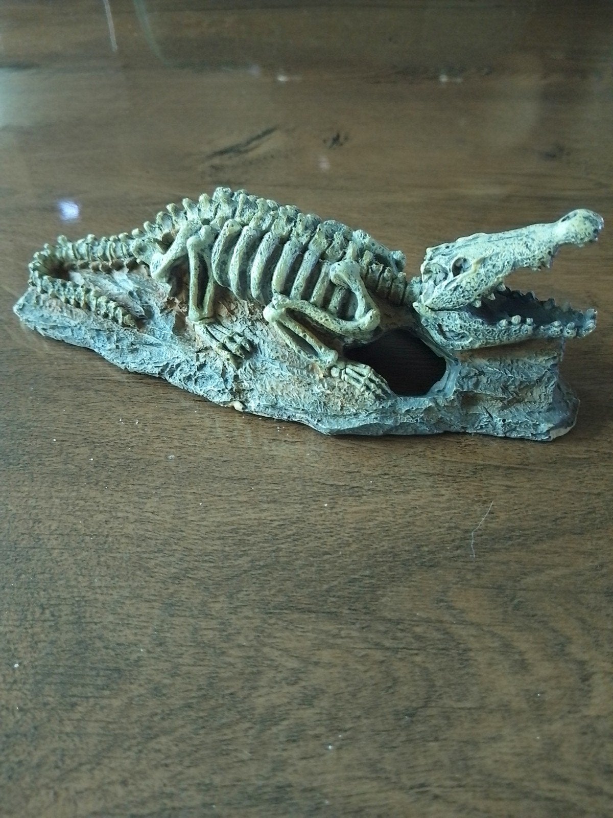 Aquarium deco, Dieren en Toebehoren, Ophalen