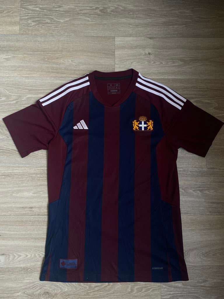 PEC Zwolle Leo Major Bevrijdingsshirt 2024-2025, Maat M, Ophalen of Verzenden, Zo goed als nieuw, Shirt