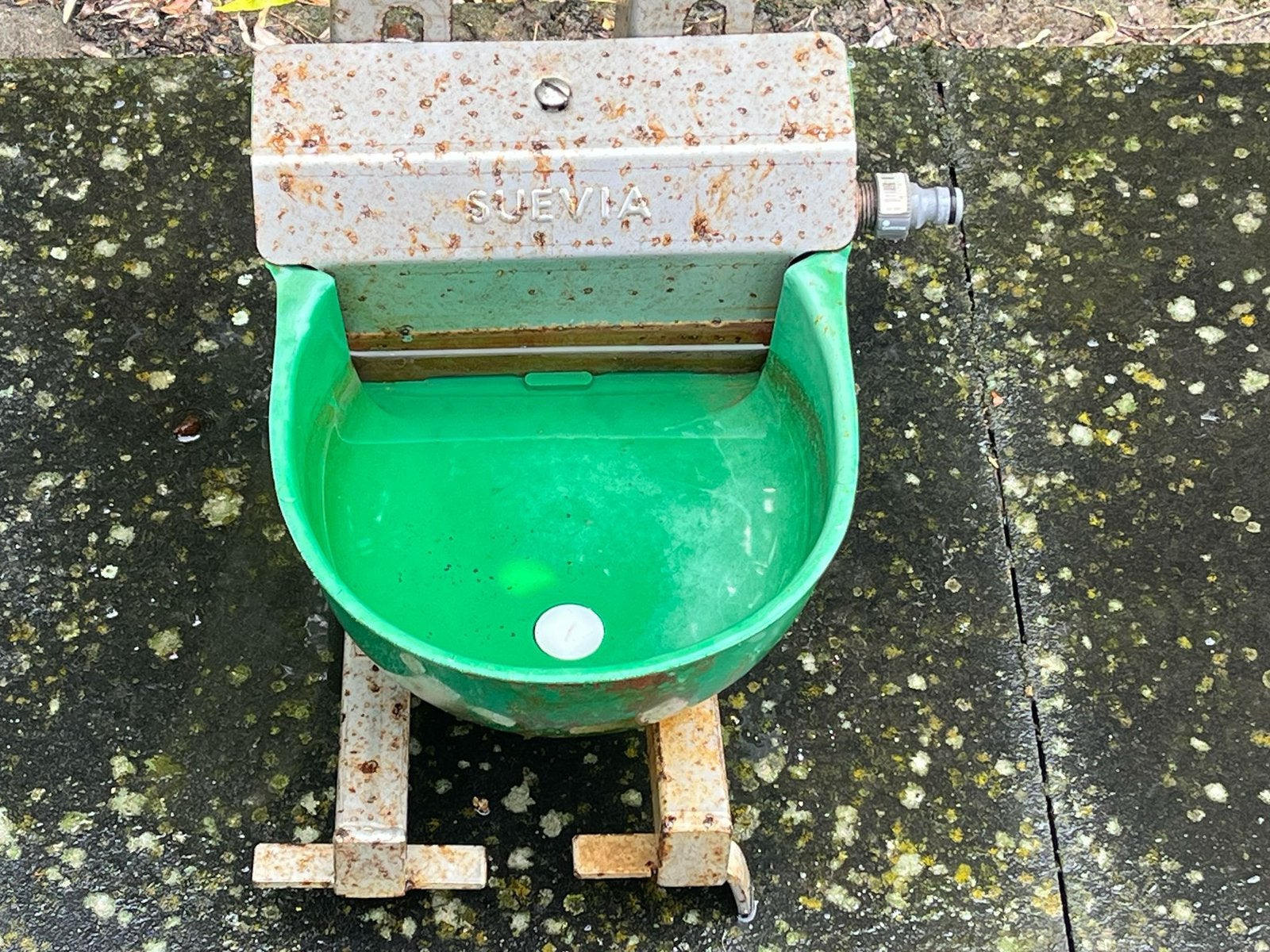 Vlotter drinkbak op standaard, Dieren en Toebehoren, Ophalen, Gebruikt, Drinken en Voederen