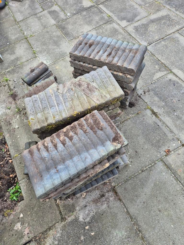 Palissades, Tuin en Terras, Ophalen of Verzenden, Minder dan 100 cm, Minder dan 25 cm