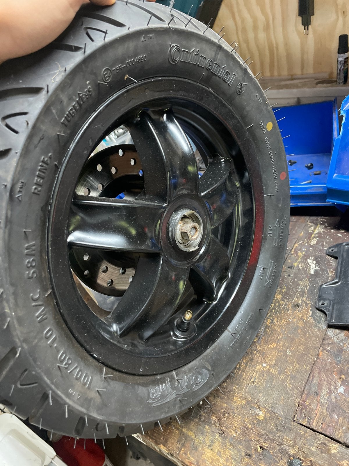 Nieuwe voorband Continental voor Piaggio Zip, Fietsen en Brommers, Brommeronderdelen | Scooters, Ophalen of Verzenden, Nieuw, Overige typen