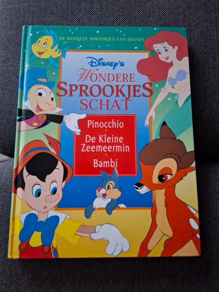 Disney's Wondere Sprookjesschat Boek, Ophalen of Verzenden, Gelezen, Walt Disney