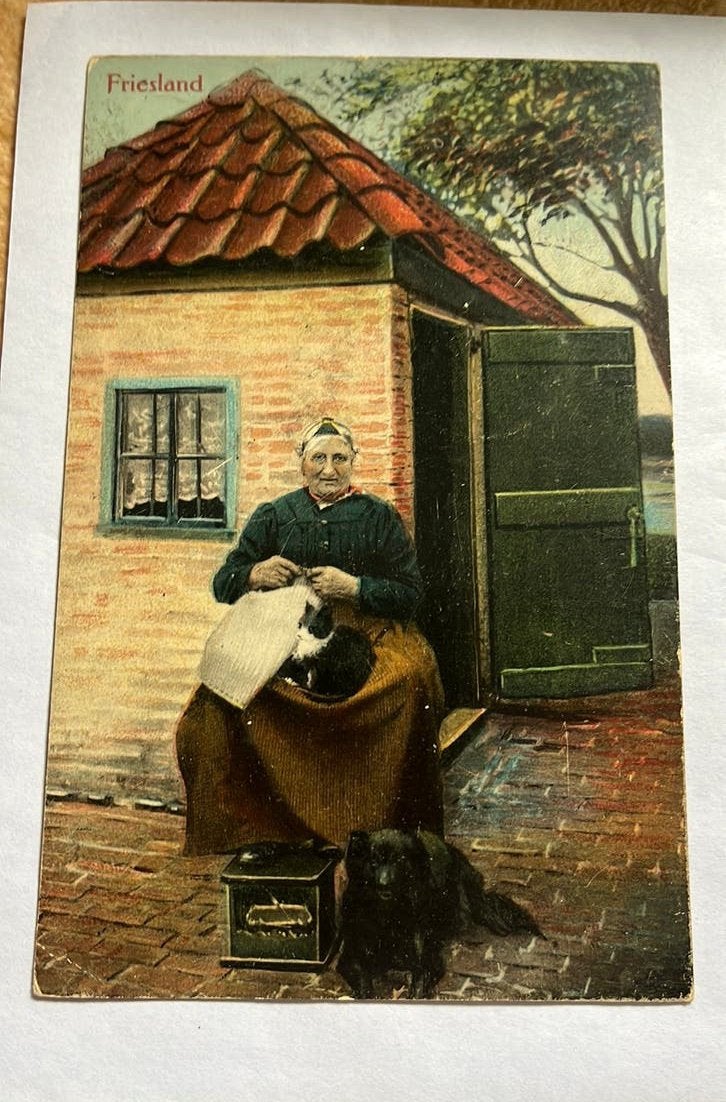 Friese dame met poes/hond serie Deyhlé’s nr 45, Ophalen of Verzenden, Voor 1920, Gelopen, Overige thema's