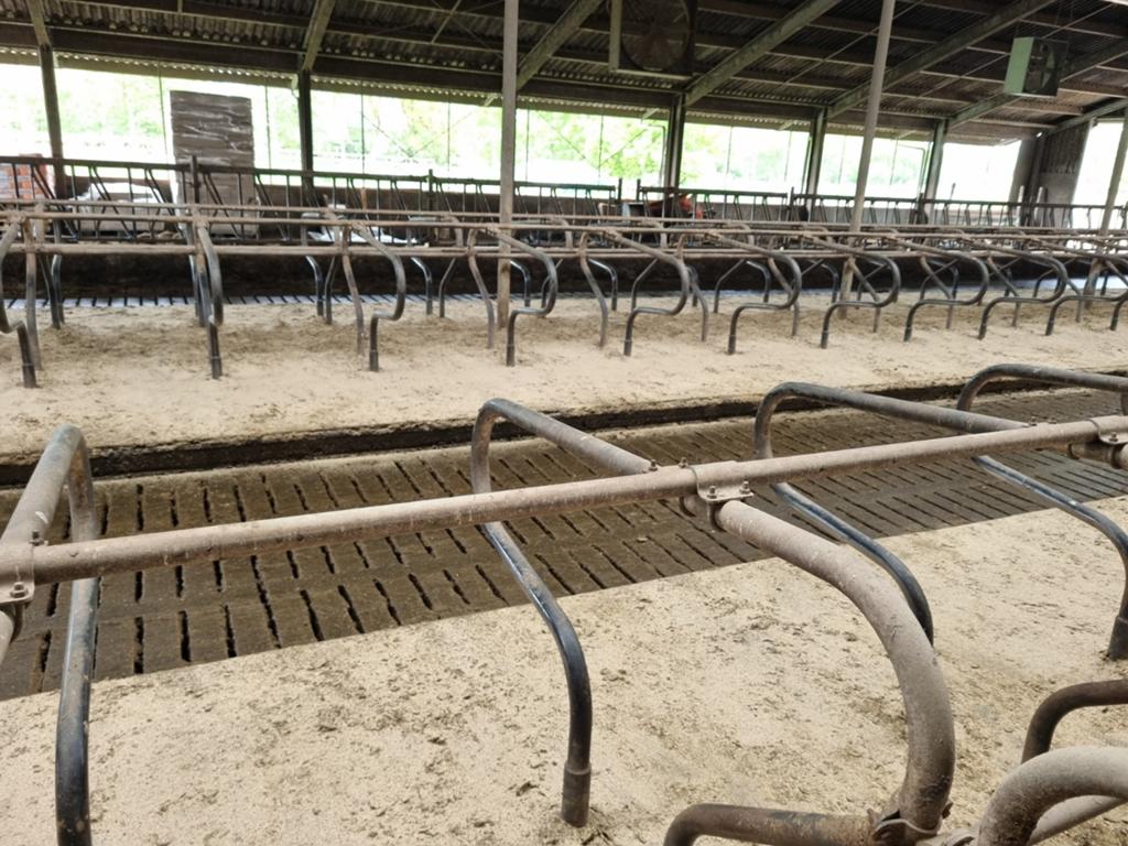 Ligboxen met noppenmatten, Ophalen, Veehouderij, Stalinrichting