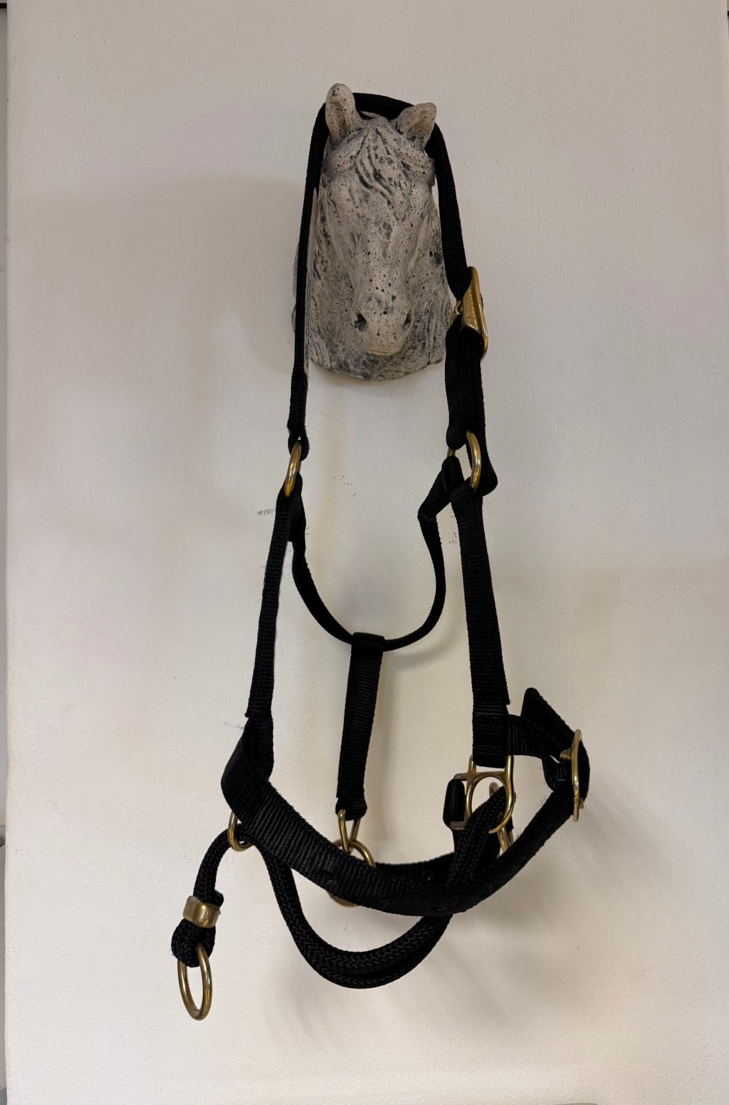 MONTY ROBERTS Dually HALSTER Zwart Full trainingshalster!, Dieren en Toebehoren, Paarden en Pony's | Hoofdstellen en Tuigage, Ophalen of Verzenden