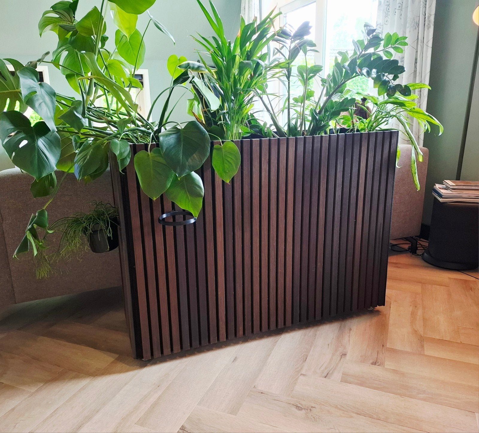 Grote plantenbak/roomdivider met diverse kamerplanten, 100 tot 150 cm, Overige soorten, In pot, Groene kamerplant