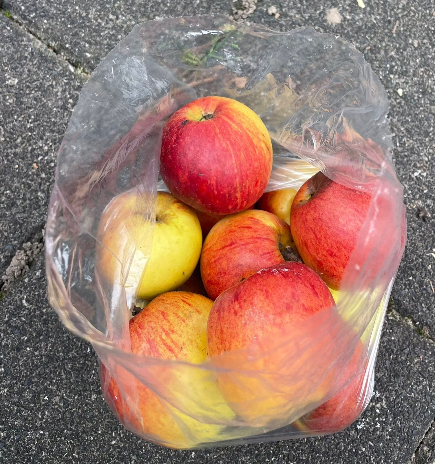 Te koop heerlijke zoete appels onbespoten, Ophalen, Minder dan 100 cm, Overige soorten