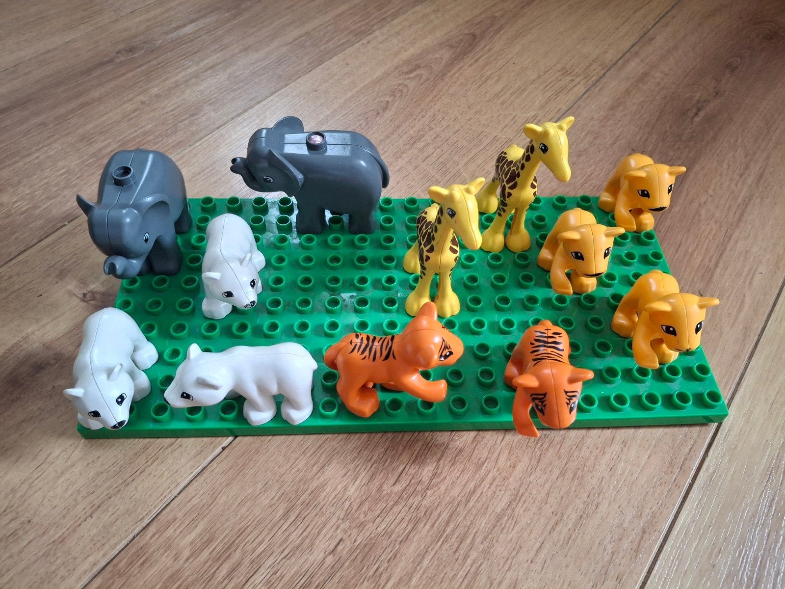 Duplo dierentuin dieren. Olifant, giraf, tijger, leeuw, beer, Ophalen of Verzenden, Duplo