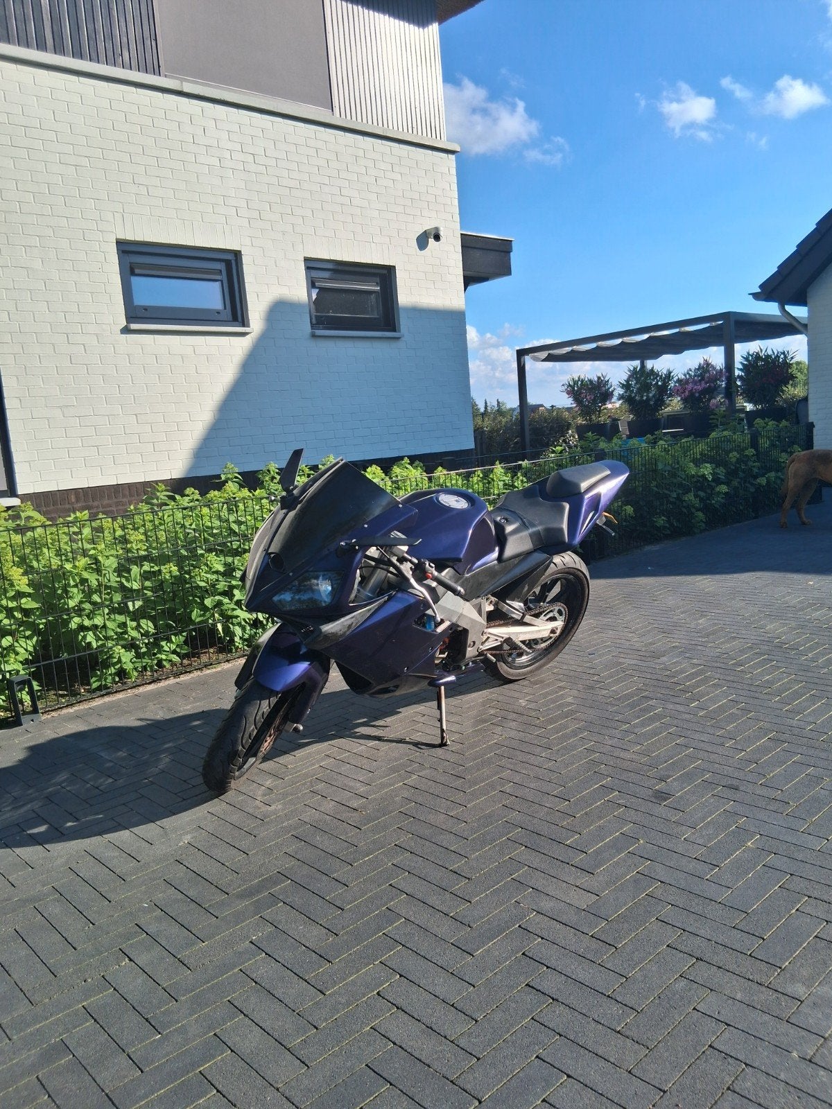 derbi gpr 50, Ophalen, 6 versnellingen, Gebruikt, Maximaal 45 km/u