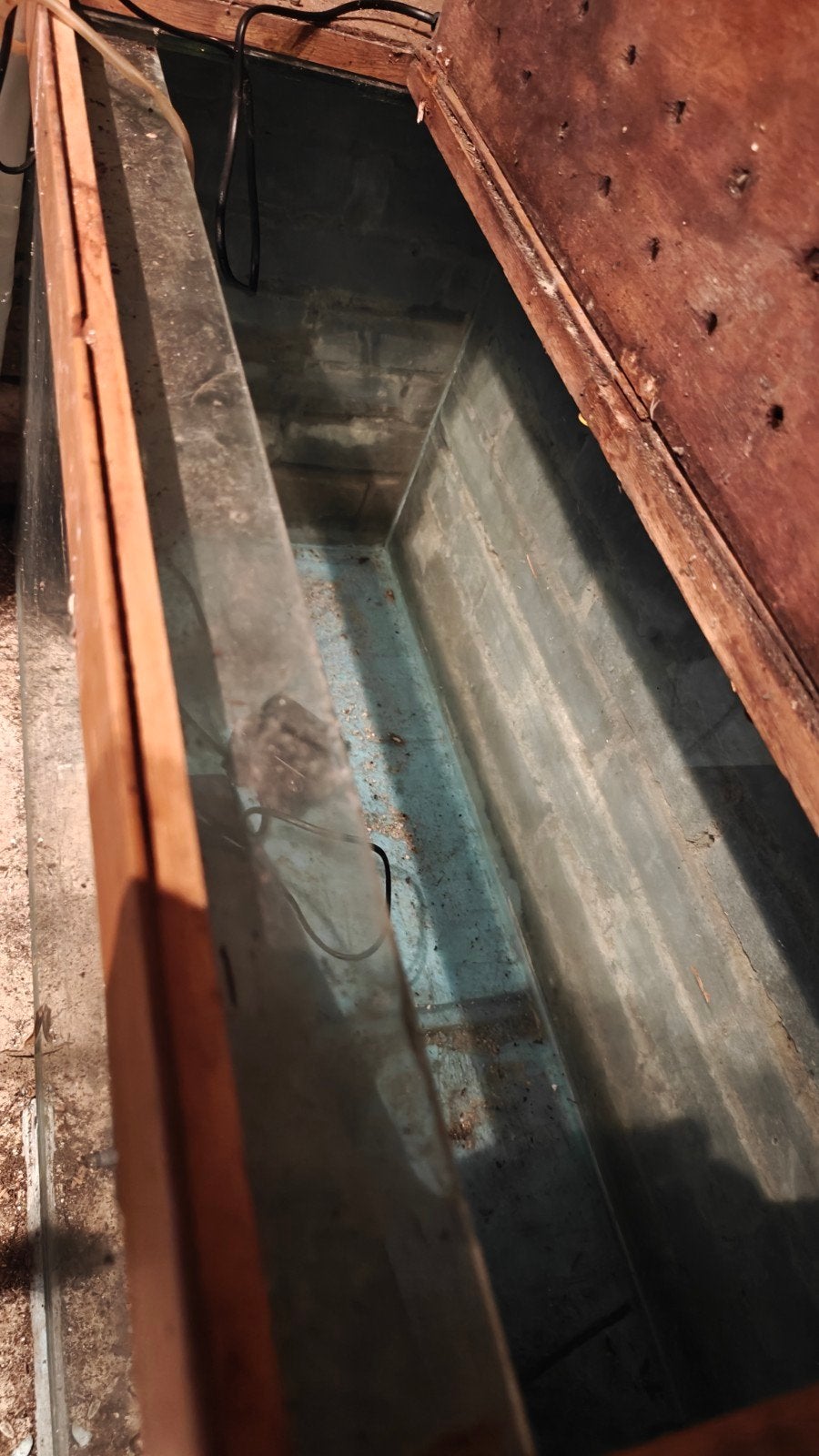 Terrarium bak 100x50x50 glas, Dieren en Toebehoren, Reptielen en Amfibieën | Toebehoren, Ophalen