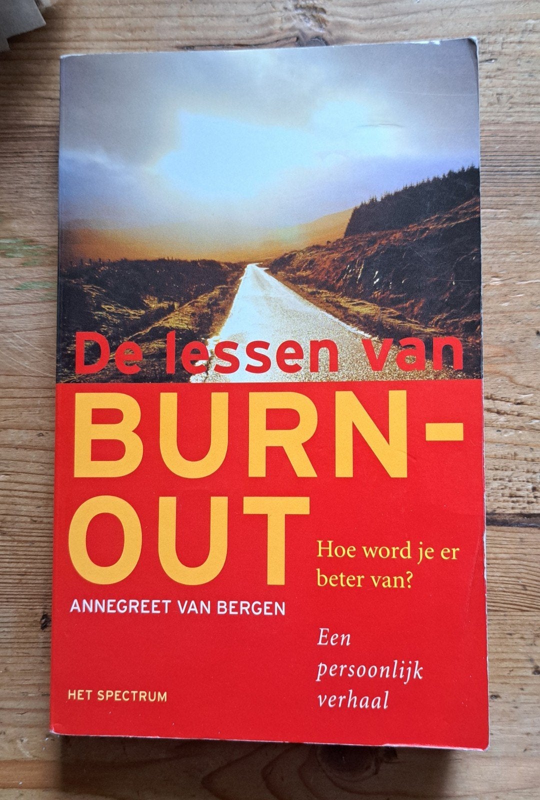 A. van Bergen - De lessen van burn-out, Gelezen, Ophalen of Verzenden, Ontwikkelingspsychologie, A. van Bergen