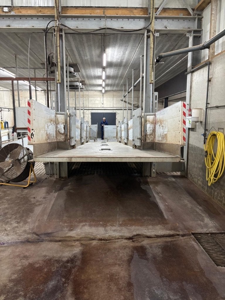 Laadbrug [466], Dieren en Toebehoren, Boekhorst Trading, Info@boekhorsttrading.com, Singel 16