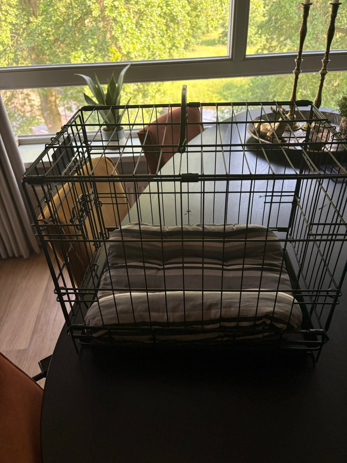 Honden bench voor kleine hond of poes, Ophalen, Zo goed als nieuw