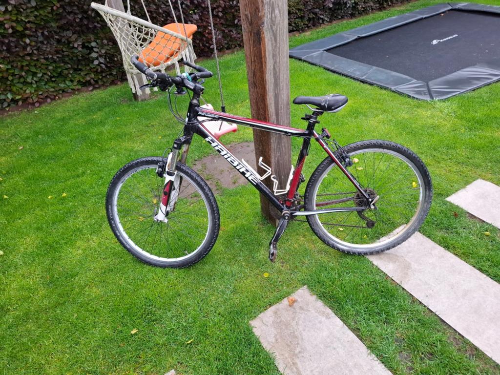 Mountainbike, Ophalen of Verzenden, Gebruikt, Staal, 24 inch of meer