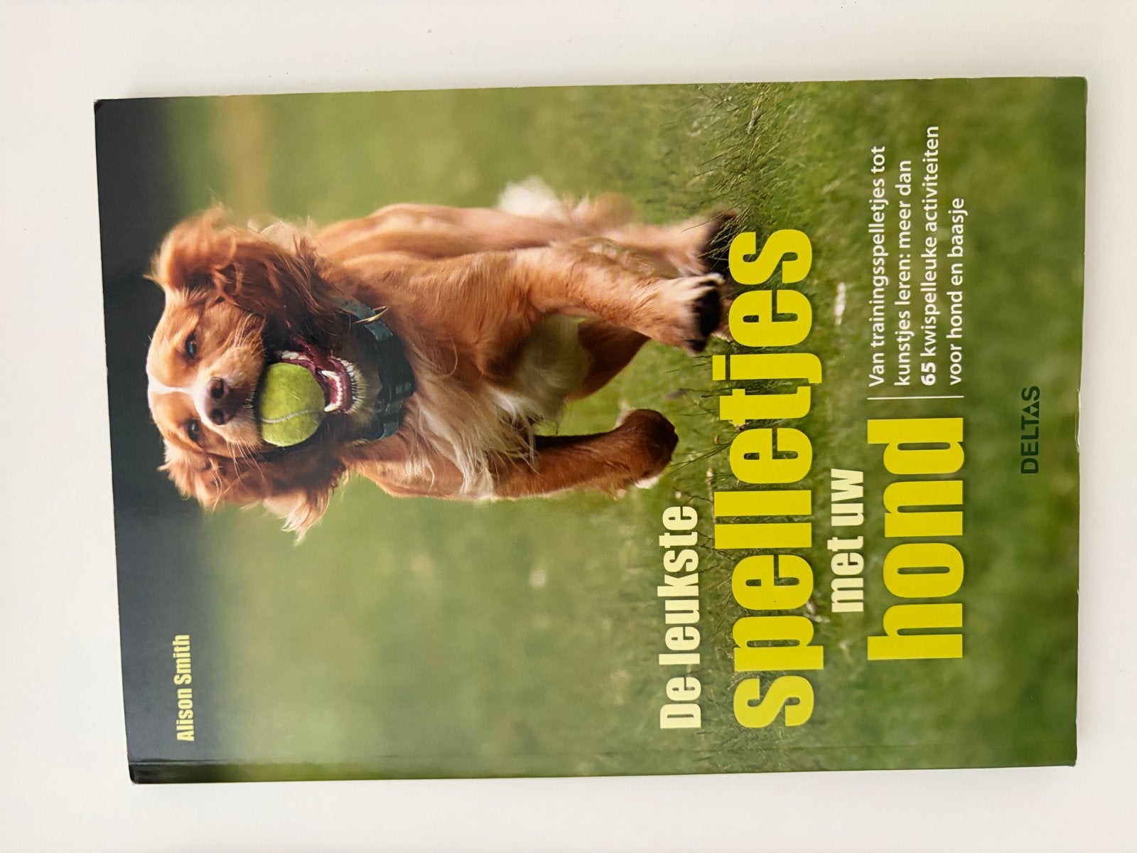 De leukste spelletjes met uw hond - Alison Smith, Ophalen of Verzenden, Zo goed als nieuw, Honden