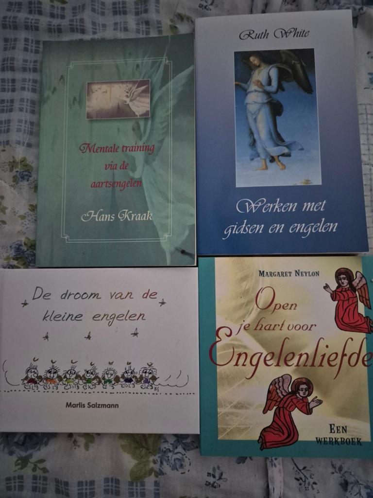 Engelenboeken: Werken met gidsen, mentale training, droom, Gelezen, Achtergrond en Informatie, Spiritualiteit algemeen, Ophalen of Verzenden
