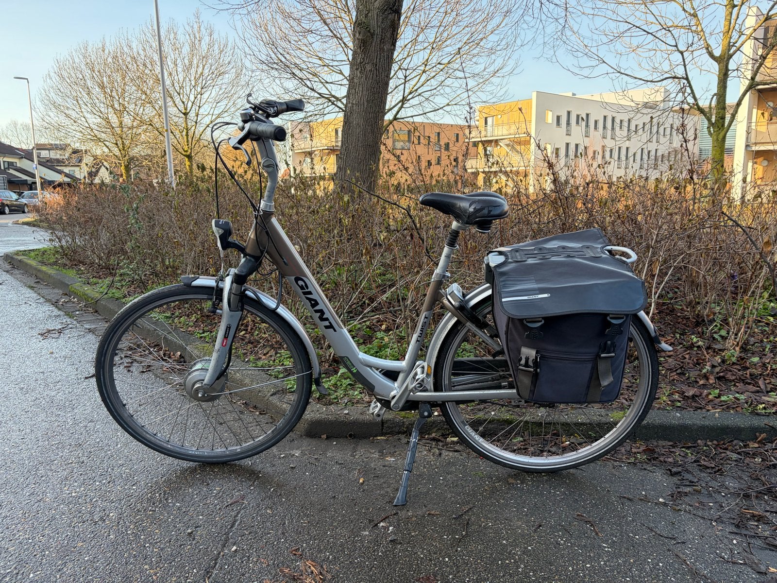 Giant elektrische fiets - accu's defect, nieuwe display/acht, Ophalen, Gebruikt, Minder dan 30 km per accu, Giant