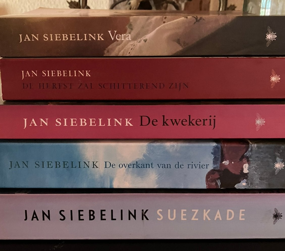 Vijf romans van Jan Siebelink, Ophalen of Verzenden, Gelezen, Nederland