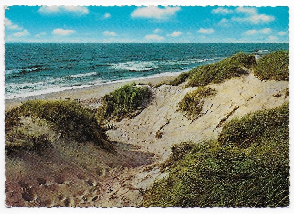 Duinen Strand en Zee Ongelopen Ansichtkaart (B5884 ), Ophalen of Verzenden, Voor 1920, Ongelopen, Feest(dag)