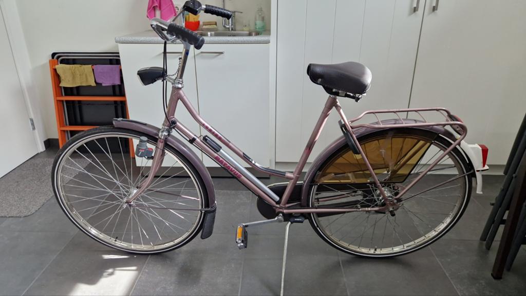 Batavus Torino damesfiets - 5 versnellingen en terugtraprem, Terugtraprem, Batavus, Ophalen of Verzenden, 53 tot 56 cm