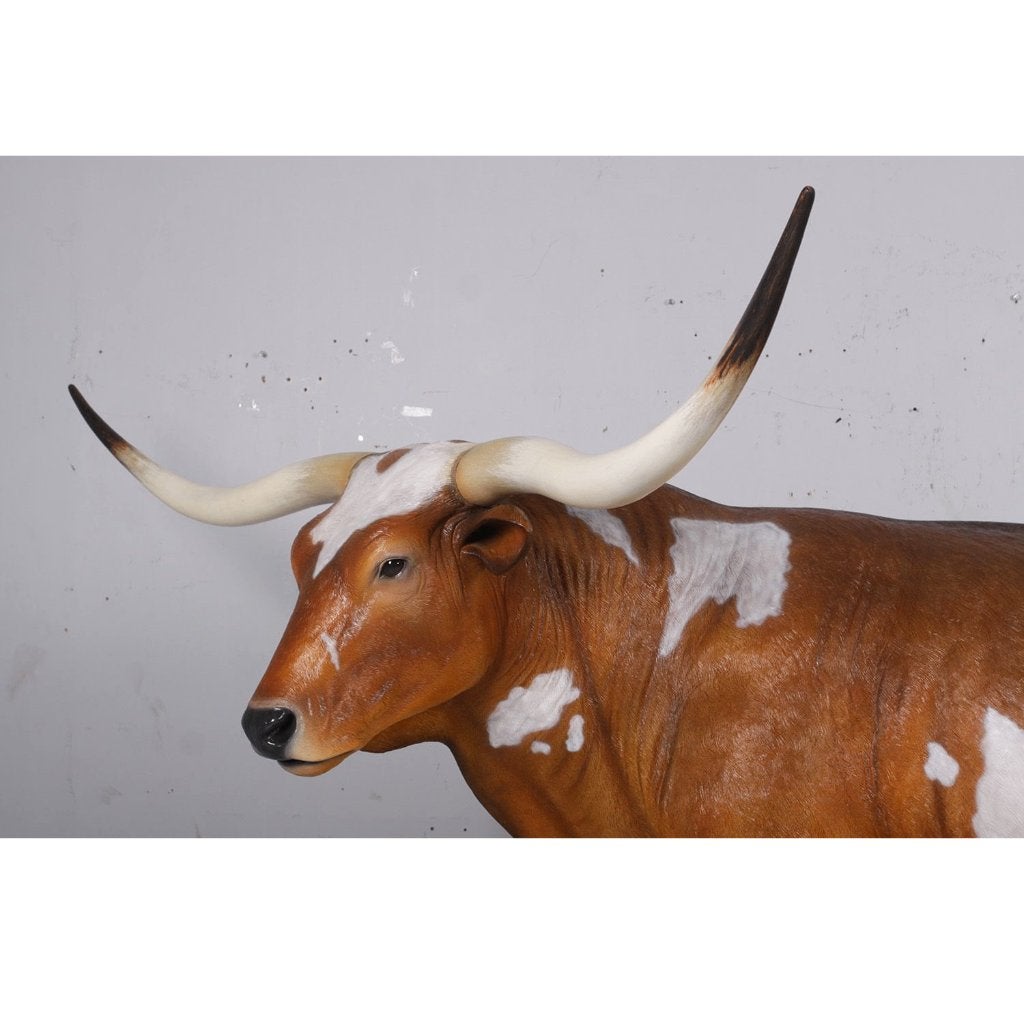 Bull Texas Longhorn 288 cm - stier texas longhorn beeld, Ophalen, Nieuw, Overige typen