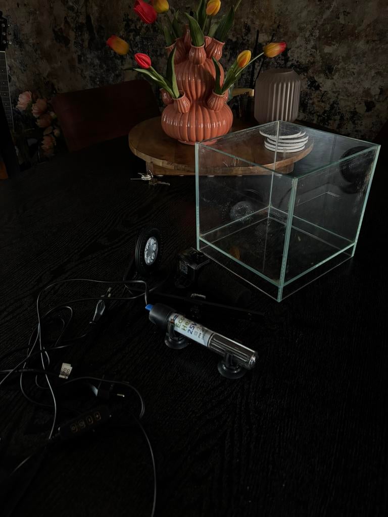 Klein aquarium bakje, Ophalen of Verzenden, Zo goed als nieuw