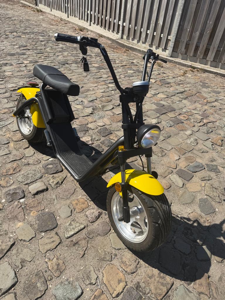 GTS E-lectric Scooter - 20Ah accu, 100km actieradius., Ophalen, Zo goed als nieuw, Elektrisch, Overige merken
