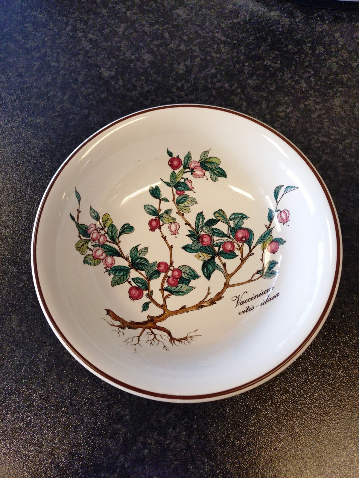 Villeroy & Boch Botanica schaaltje Vaccinium vitis-idaea, Oldenburg, Duitsland, Klassiek, Villeroy & Boch, Villeroy & Boch