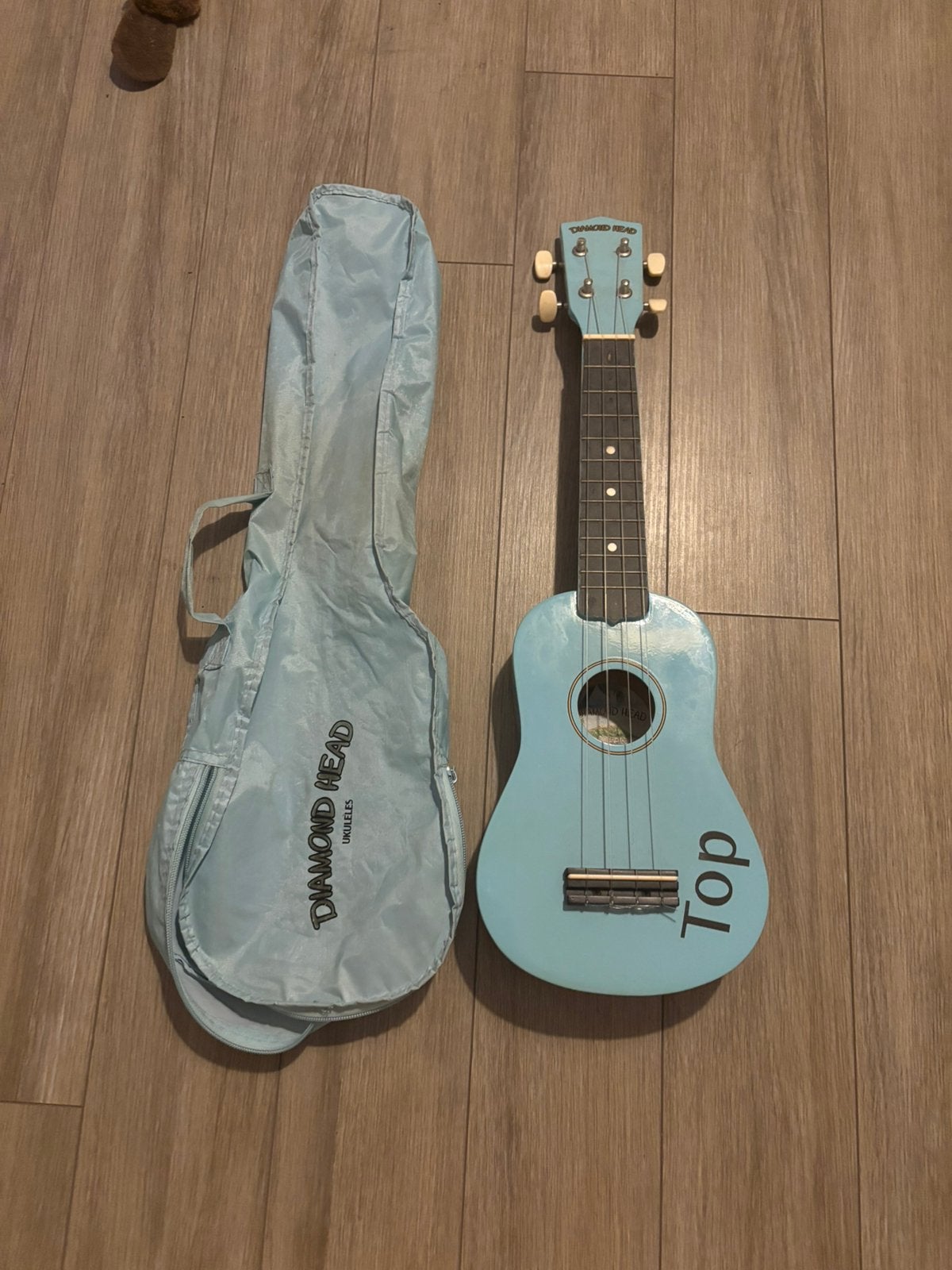 Diamond Head DU-106 sopraan ukulele lichtblauw met tas, Ophalen, Gebruikt, Overige typen