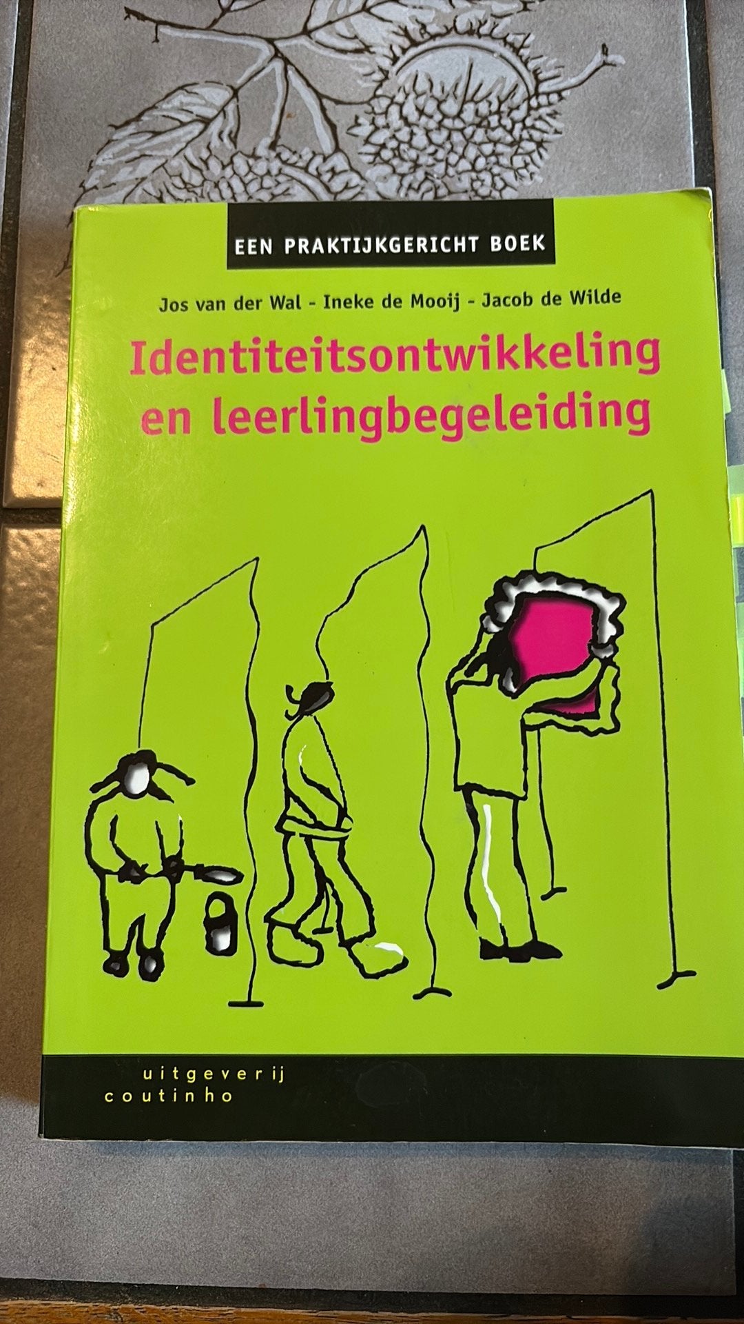 J. de Wilde - Identiteitsontwikkeling en leerlingbegeleiding, Ophalen of Verzenden, J. de Wilde; I. de Mooij; Jaap van der Wal