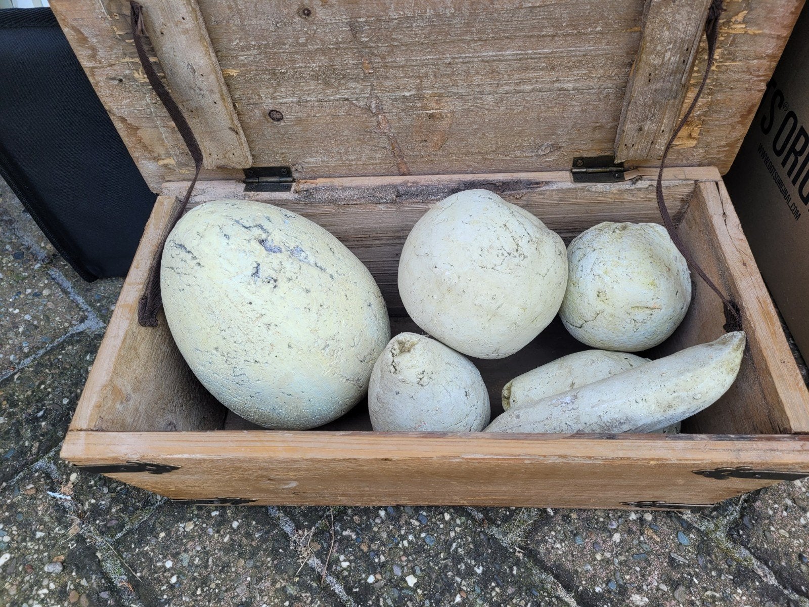 Sierfruit, Tuin en Terras, Bloempotten, Ophalen, Zo goed als nieuw