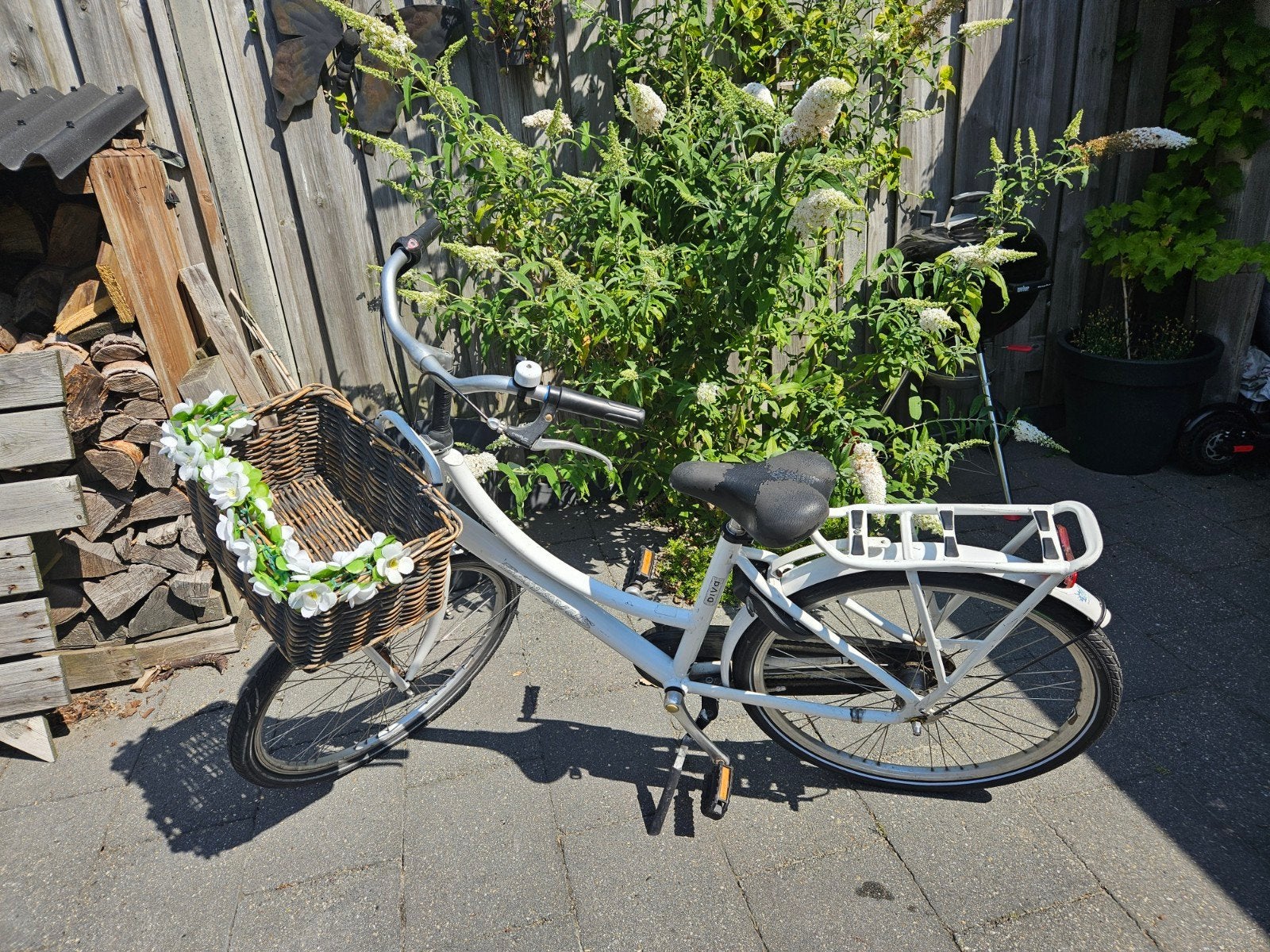 te koop batavus diva meiden fiets, 26 inch of meer, Gebruikt, Batavus, Ophalen of Verzenden
