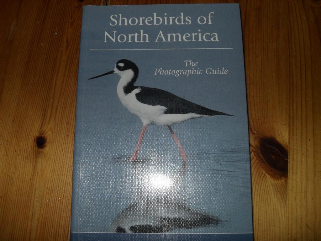BOEK DENNIS PAULSON:SHOREBIRDS OF NORTH AMERICA., Dennis Paulson., Ophalen of Verzenden, Zo goed als nieuw, Los deel