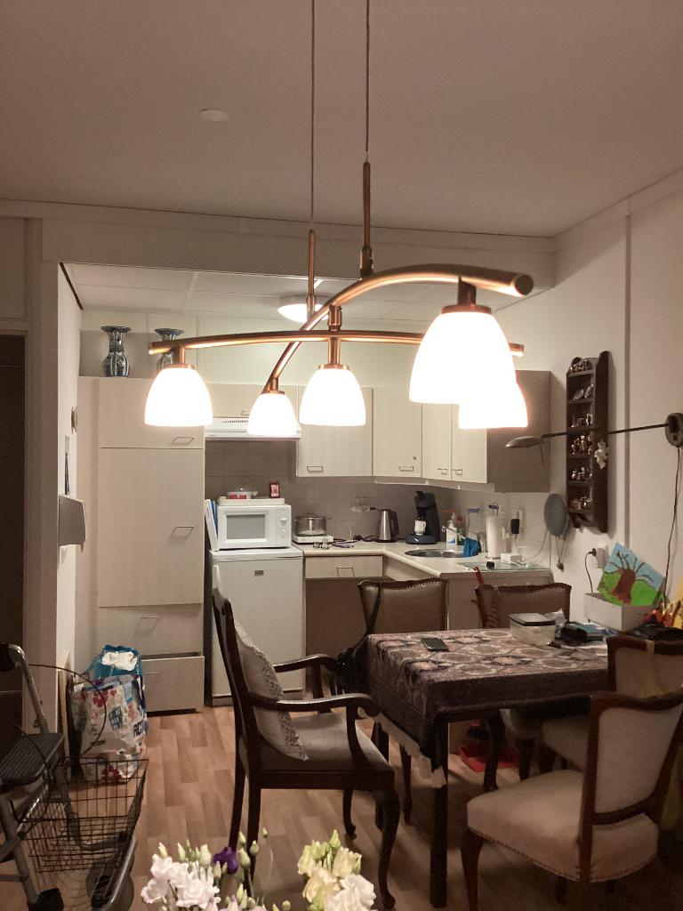 Hanglamp, Ophalen, Gebruikt, Minder dan 50 cm