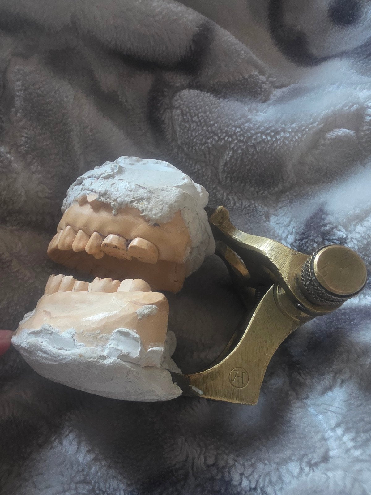 Tandheelkundige articulator 19e eeuws antiek, Ophalen of Verzenden