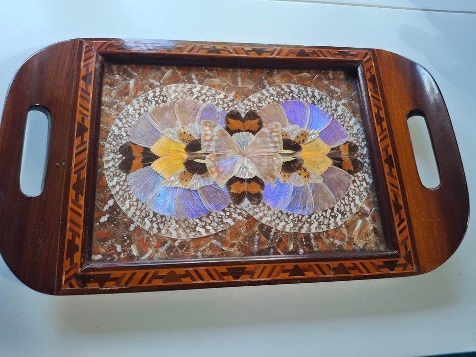 Vintage Art Deco dienblad echte vlinder- Carlos Zipperer, Ophalen of Verzenden