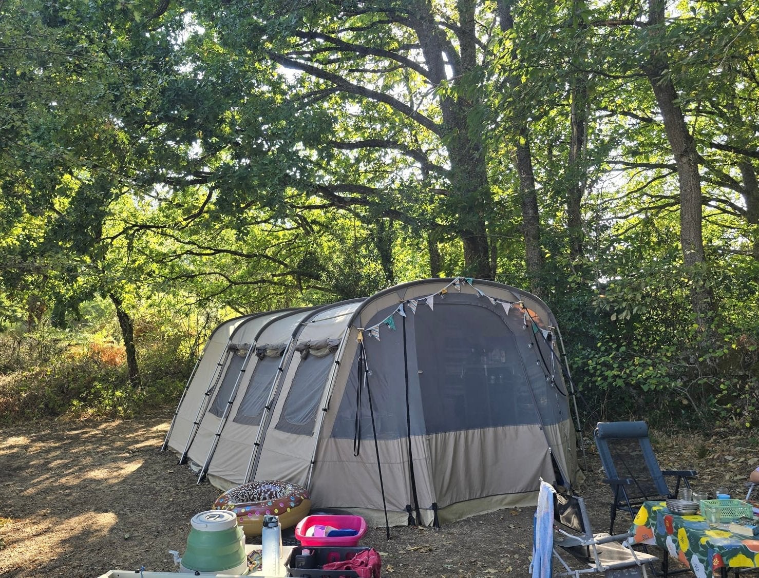 Redwood willow 480 6 persoons tent, Ophalen, Gebruikt, Tot en met 6