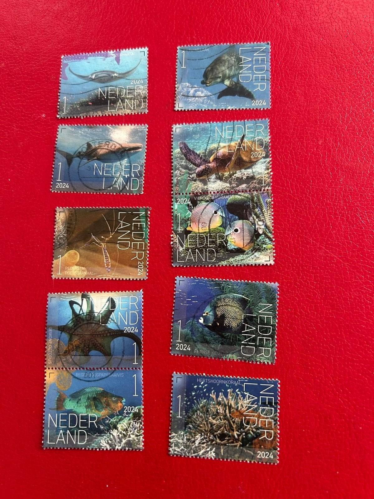 Serie onderwater 2024, Ophalen of Verzenden