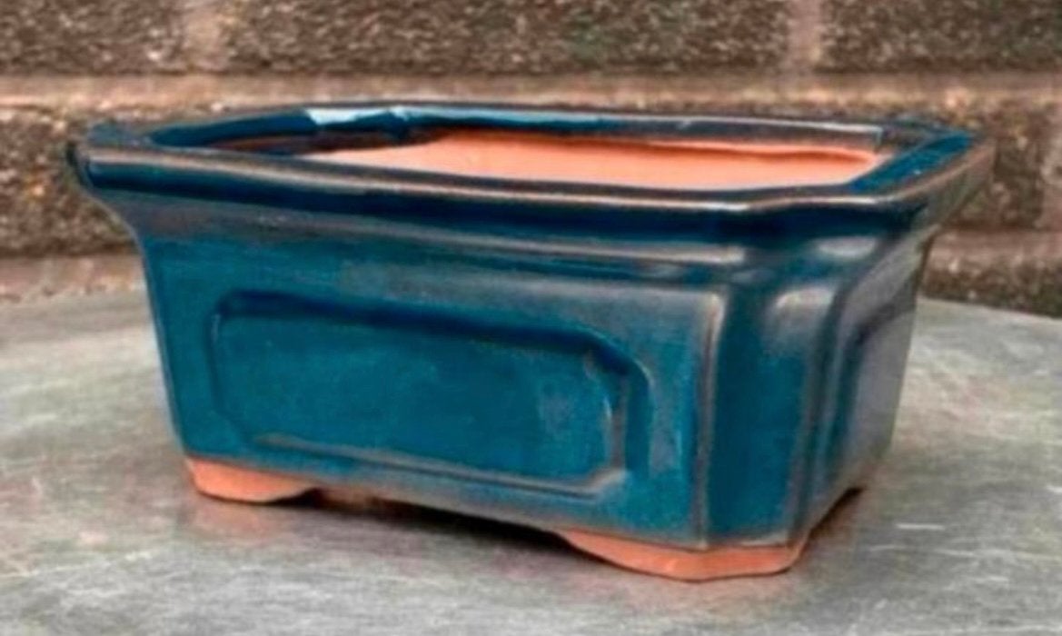 Bonsai schaal blauw geglazuurd aardewerk 15x10,8x5,9, Tuin en Terras, Ophalen of Verzenden, Zo goed als nieuw, Aardewerk, Rechthoekig