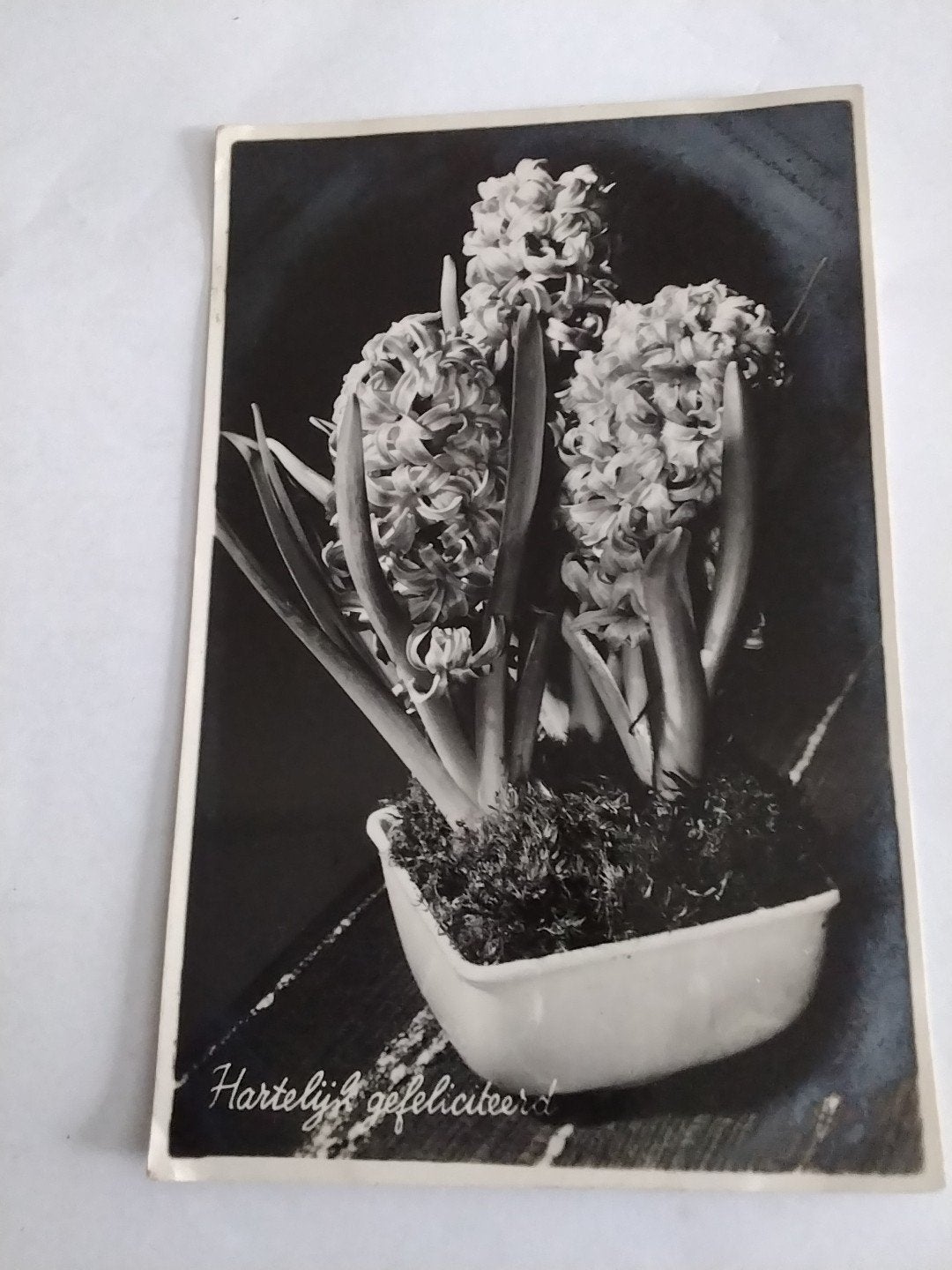 BAKJE  MET HYACINTEN. 1946, Ophalen of Verzenden, Voor 1920, Voertuig